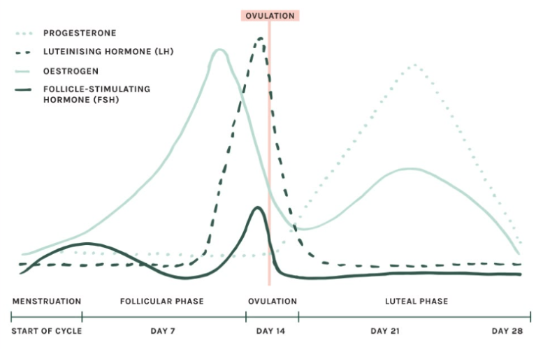 Ongetiteld bericht 1137